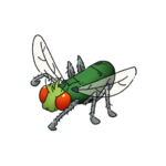 Illustration of fly ready to pounce