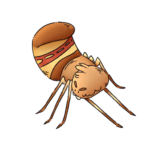 Illustration of spider with their butt in the air